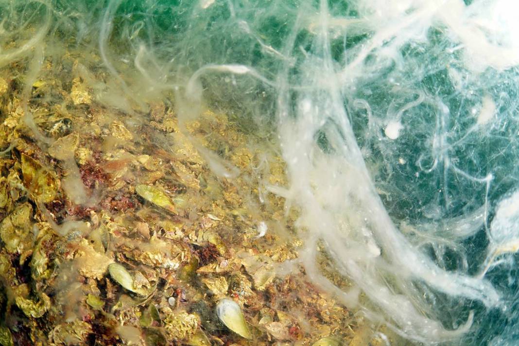 Marmara'da depremden sonra en büyük felaket sinsi sinsi gerçekleşiyor! Hiç kimse farkında değil, böyle görüntülendi 6